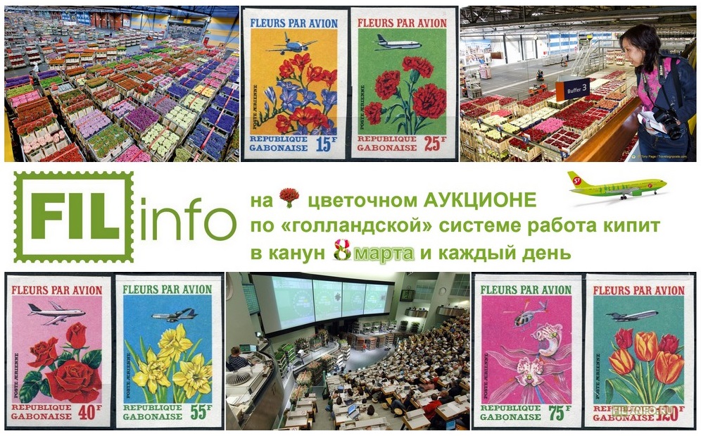 что такое цветочный АУКЦИОН по «голландской системе»?