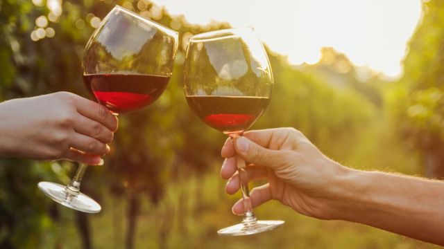 In vino veritas, ergo bibamus!