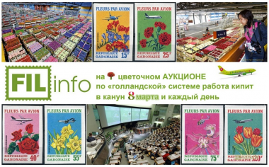 что такое цветочный АУКЦИОН по «голландской системе»?