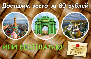 Доставим за 80 рублей или БЕСПЛАТНО*!