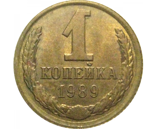 СССР 1 копейка 1989  AU
