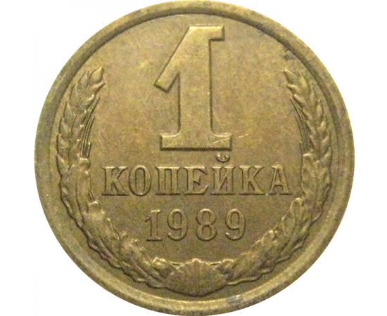 СССР 1 копейка 1989  XF